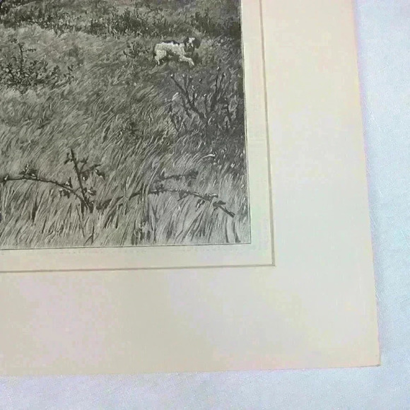 Art Print Hunting Gun-Shy Scared Dog Black Hunter Harpers Weekly Antique 1880 - Picture 5 of 12